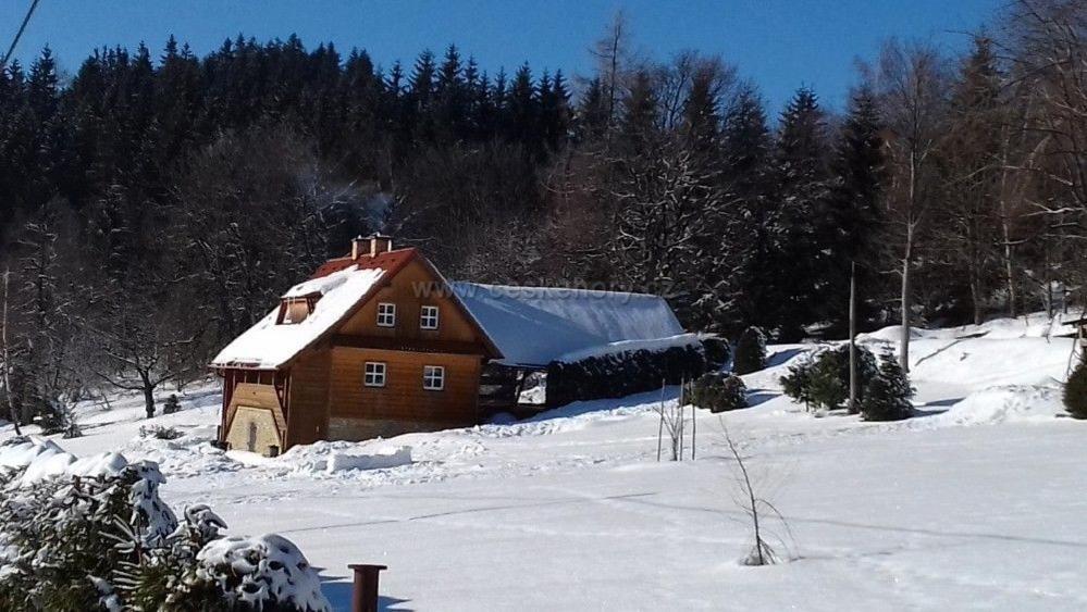 Chata U Lesa Villa Vyprachtice Exterior photo