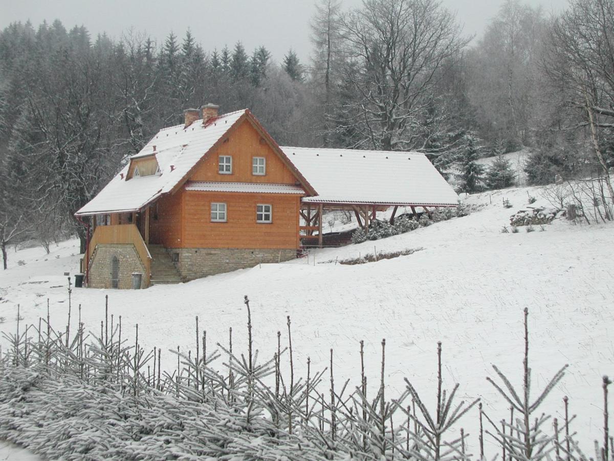 Chata U Lesa Villa Vyprachtice Exterior photo